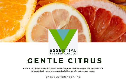 Gentle Citrus - 3 Wick Candle